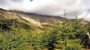 تيكجدة ولاية البويرة الجزائر tikejda bouira algeria natural landmarks nature landmarks
