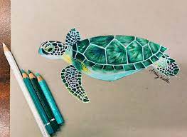 We did not find results for: Sea Turtle Using Colored Pencil Against Grey Paper Color Pencil Sketch Sea Drawing Sea Turtle Art