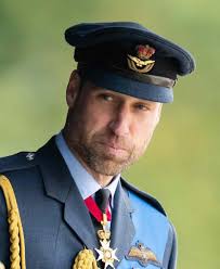 Titles: How does one receive, earn or is called a title? What does the  given titke mean? What is the higher rank/title? *Duke/Duchess.  *Count/Countess. *Lord/Lady. *Mister/Miss. *Viscount/Viscountess.  *Dowager(female widow)/?name of male widower). *