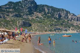 Image result for Thamnosma rhodesica