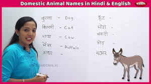 Ukade kambo class 8 hindi chapter summary. Domestic Animal Names In Hindi And English Learn English In Hindi Farm Animals For Kids Youtube