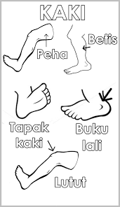 0 ratings0% found this document useful (0 votes). Ked S Stories Mari Mewarna Anggota Badan