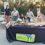 Discovery Table