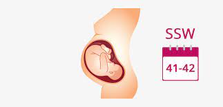 41 42 Ssw Schwangerschaftswoche Ubertragen Baby Mutter In 41 42 Ssw