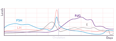 My last dose was yesterday morning after negative beta. All You Need To Know About Progesterone
