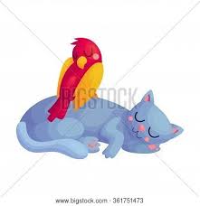 Download 4,429 cartoon gray hair stock illustrations, vectors & clipart for free or amazingly low rates! Cute Cartoon Sleeping Vector Photo Free Trial Bigstock