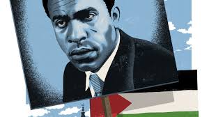 Gaza-protester har et ekko af koloniseringsteorier. Men hvad siger  teorierne egentlig?