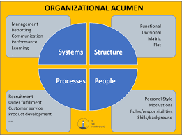 Building Organizational Acumen To The Lighthouse