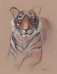 Unfinished Business Original Tiger Drawing Mixed Media Acrylic Paint Pencil By Rebecca Rees Tiger Drawing Tiger Art Big Cats Art