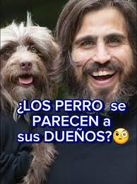 Cómo ayudar a perros con ansiedad y comportamiento incontrolable