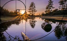 Proportion is used in photography to give the illusion that something is diﬀerent in size, but still makes the photo ﬁt together. The Golden Ratio In Design Design Wizard