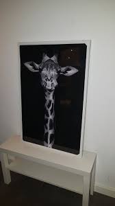 The urban giraffe is a unique interior design store in amarillo, tx. Giraffe Wall Art Hd Portrait Beautiful Wall Arts For Your New Home Giraffe Wall Art Animal Canvas Art Beautiful Wall Art