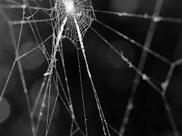 Broken glass free screensaver download wallpaper. Broken Screen Wallpapers 4k Hd Broken Screen Backgrounds On Wallpaperbat