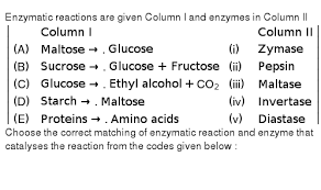 Present in the brush border of the intestinal mucosal maltase. a dictionary of food and nutrition. Maltase Is An Enzyme That Breaks Down Maltose If A Maltase Enzym