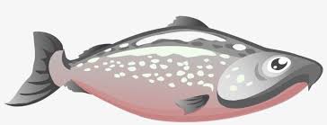 Chinook Salmon Sockeye Salmon Pink Salmon Salmon As Salmon Png Transparent Png 2250x750 Free Download On Nicepng Gunakan pink salmon png gratis ini untuk desain web, desain dtp, selebaran, proposal, proyek sekolah, poster, dan lainnya. nicepng