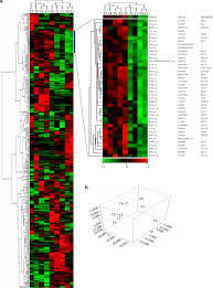 Expression profiling reveals a distinct transcription signature in  follicular thyroid carcinomas with a PAX8-PPARγ fusion oncogene | Oncogene