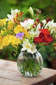 How To Plant And Grow Freesias Sarah Raven Freesia Flowers Beautiful Flower Arrangements Fragrant Flowers
