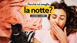 Perché il mio gatto mi sveglia di notte?