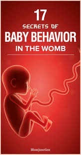 Pin On Pregnancy
