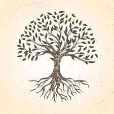 4.6 out of 5 stars. Tree Images Free Vectors Stock Photos Psd