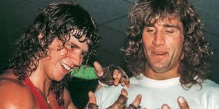 9 Biggest Von Erich Family Members The Iron Claw Leaves Out (Not Just Chris)