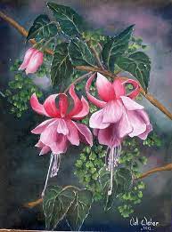 Fuschia And Fern By Valerie Weber Flower Painting Watercolor Flowers Floral Painting