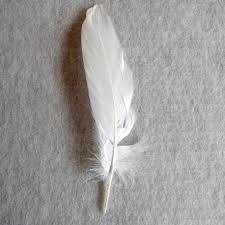 Feather is a portable file format for storing arrow tables or data frames (from languages like python or r) that utilizes the arrow ipc format internally. Federn Feder Indianerfeder Federn Weiss Feder Weiss