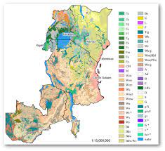 A less detailed stratification is provided in the other ecological domains. An Alternative Simplified Version Of The Vegetationmap4africa Potential Natural Vegetation Map For Eastern Africa