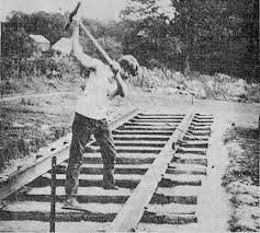 Image result for tbn:cRxpWML3C6TQFM::farm3.static.flickr.com/2382/2420623259_e3c8cd4fd8.jpg