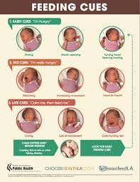 Apakah kesan penyusuan susu ibu dengan penggunaan susu formula terhadap perkembangan bayi?? 7 Tips Penting Buat Ibu Yang Pertama Kali Menyusu Badan Zuriat