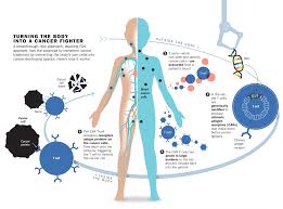 Add these five cancer fighting vegetables to a healthy diet and feel great while fighting off illness and disease. Cancer S Newest Miracle Combines Genetics And Immune System Time