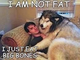 Maybe you would like to learn more about one of these? Funniest Fat Dog Memes