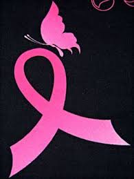 Canine simple carcinomas, which faithfully represent human breast carcinomas at the molecular level, provide indispensable models for basic and translational breast cancer research. Pin On Breast Cancer Awareness Fight Like A Girl