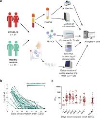 Nucleocapsid-specific T cell responses associate with control of SARS-CoV-2  in the upper airways before seroconversion | Nature Communications