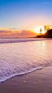 Scarface Palm Trees Wallpaper Android Landscape Wallpaper Sunset Wallpaper Tree Wallpaper
