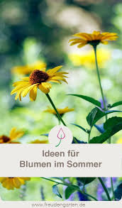 Die 12 Schonsten Sommerblumen Sommerblumen Blumen Fur Garten Und Garten