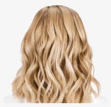 Blondes have more fun is a term people use a lot when going blonde. Natural Blonde Hair Png Download Blond Hair From The Back Transparent Png Kindpng
