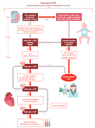 Healthcare Management Workflow Diagrams Solution