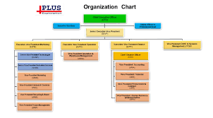 organizational structure plus exploration