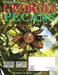 The pecan (carya illinoinensis) is a species of hickory native to the southern united states and northern mexico in the region of the mississippi river. The Pecan Grower December 2017 By Georgia Pecan Growers Association Inc Issuu