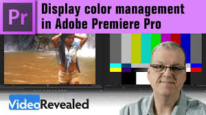 Adobe premiere pro 2.0 debuts a new user interface that will allow you to spend less time adjusting your desktop layout and more time actually producing video. The Beginner S Guide To Color Management With Adobe Creative Cloud Apps