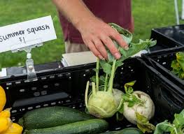 York Fresh Food Farms