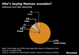 Mexican Hass Avocado Prices Jump 34 The Most In A Decade