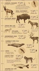 Extinct Animals Due To Human Activity Timeline Extinct Animals Animals Species Extinction