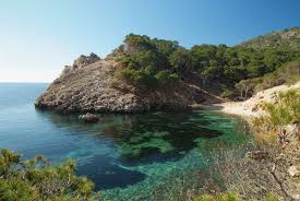 Jan 27, 2020 · schon lange zählt paguera bei deutschen reisenden zu einem der beliebtesten urlaubsorte auf mallorca. 14 Paguera Ideen Paguera Mallorca Spanien