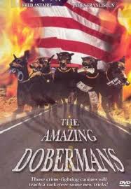 Фред астер, джеймс франсискус, барбара иден и др. Amazing Doberman Dvd Movies Tv Online Raru