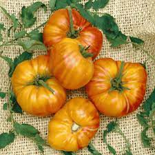 We did not find results for: Pineapple Tomato Seeds Pineapple Heirloom Tomatoes