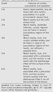 Management Of Incidentally Detected Heart Murmurs In Dogs And Cats Semantic Scholar