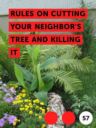 Pin On Trees