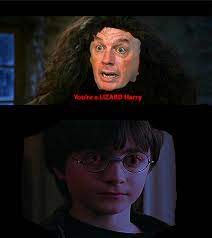 We did not find results for: Proper Lizard Harry You Re A Wizard Harry Know Your Meme